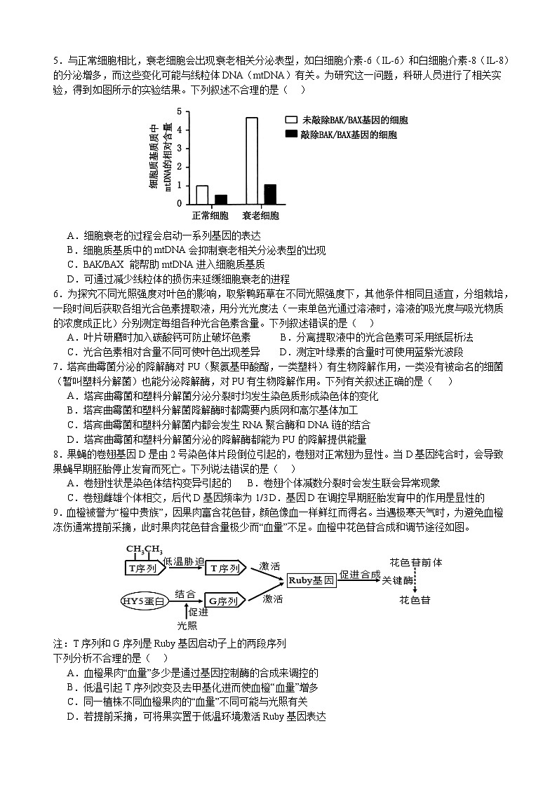 24-25上高三生物期中试卷第2页