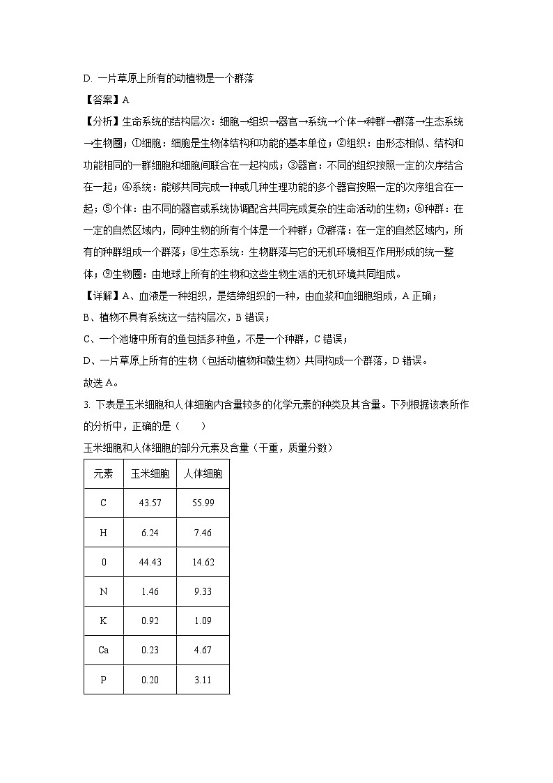 河南省青桐鸣大联考2024-2025学年高三上学期10月月考生物试卷（解析版）第2页