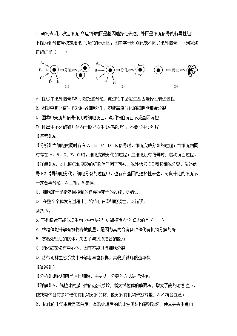 江浙皖高中（县中）发展共同体2024-2025学年高三上学期10月联考生物试卷（解析版）第3页