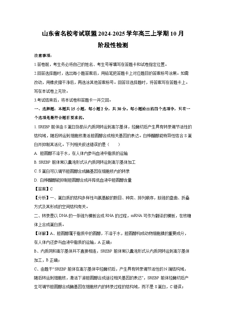 山东省名校考试联盟2024-2025学年高三上学期10月阶段性检测生物试卷（解析版）01