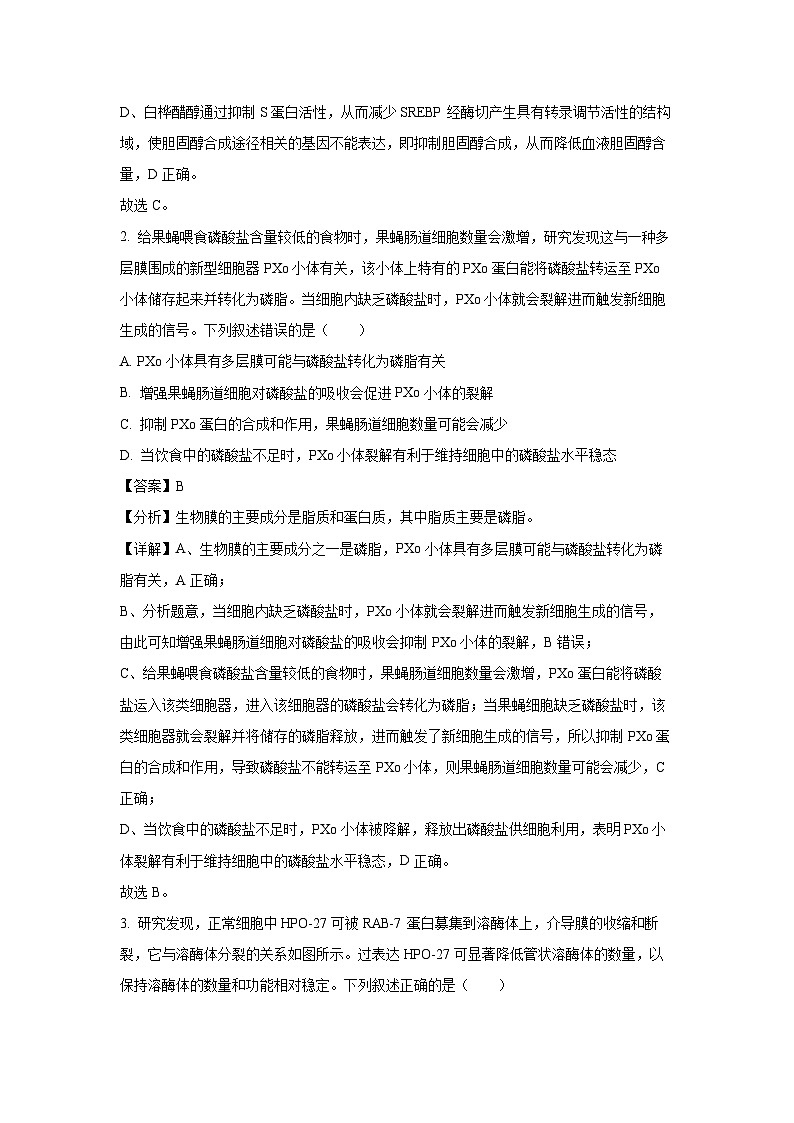 山东省名校考试联盟2024-2025学年高三上学期10月阶段性检测生物试卷（解析版）02