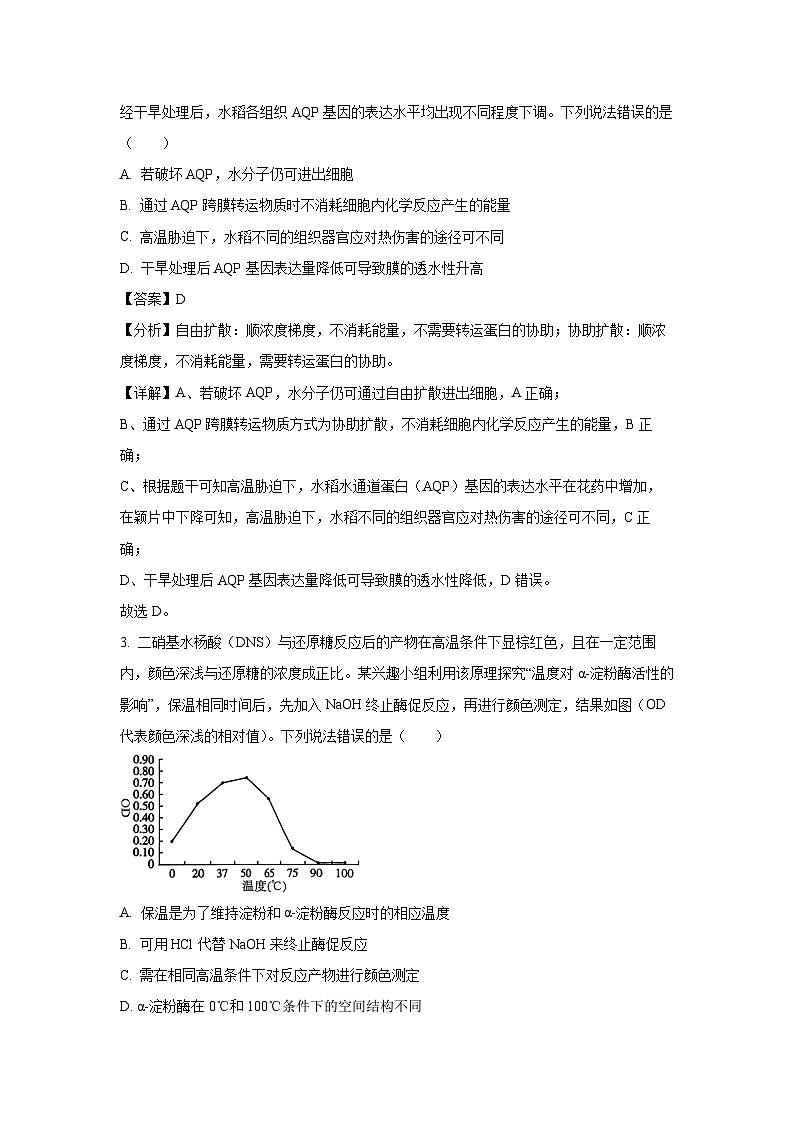 山东省新高考联合体2024—2025学年高三上学期质量测评10月联考生物试卷（解析版）第2页