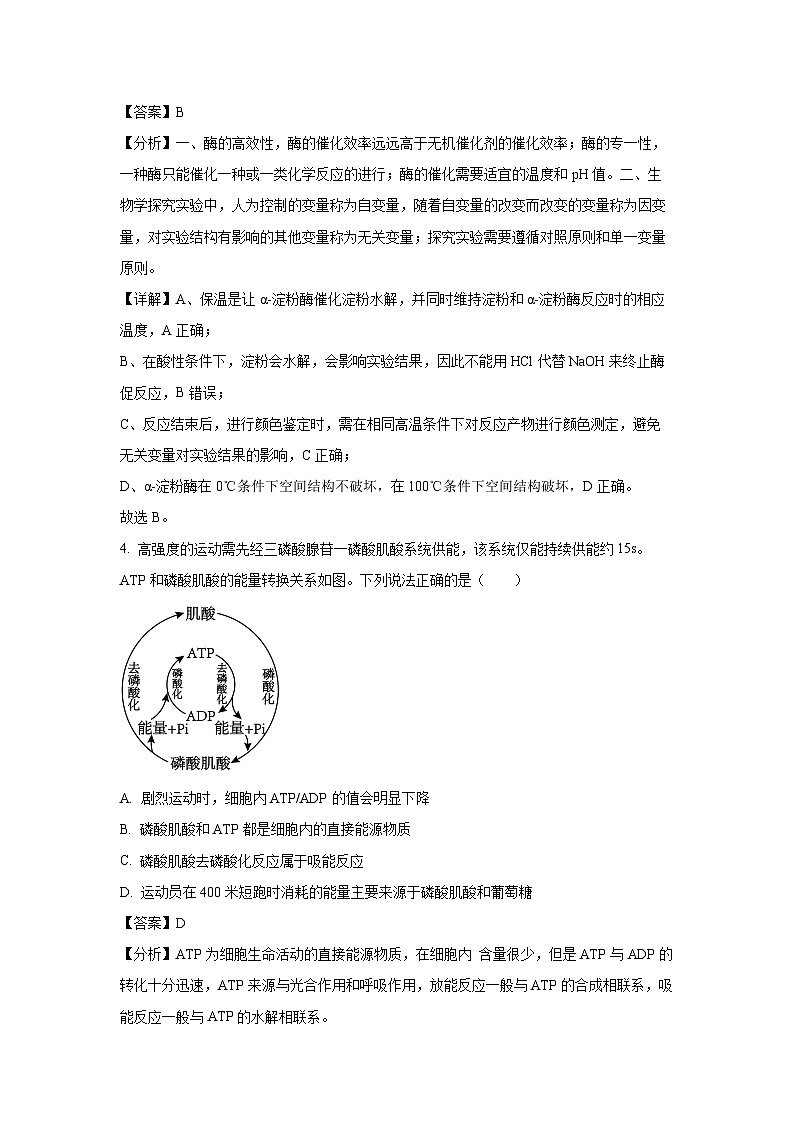山东省新高考联合体2024—2025学年高三上学期质量测评10月联考生物试卷（解析版）第3页