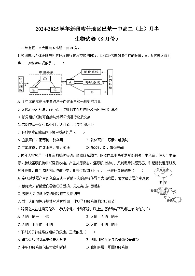 2024-2025学年新疆喀什地区巴楚一中高二（上）月考生物学试卷（9月份）（含答案）01