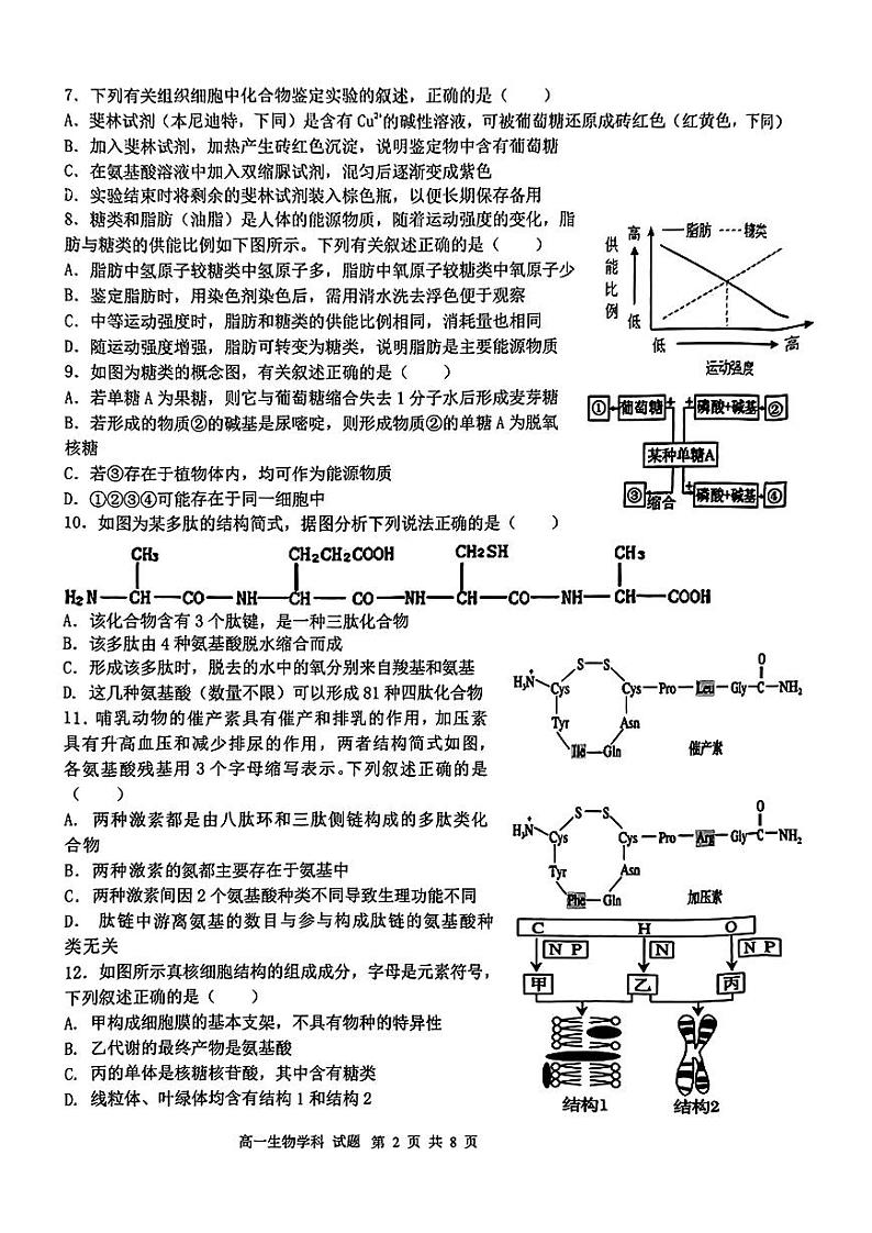 试卷2411高一金兰教育合作组织期中第2页