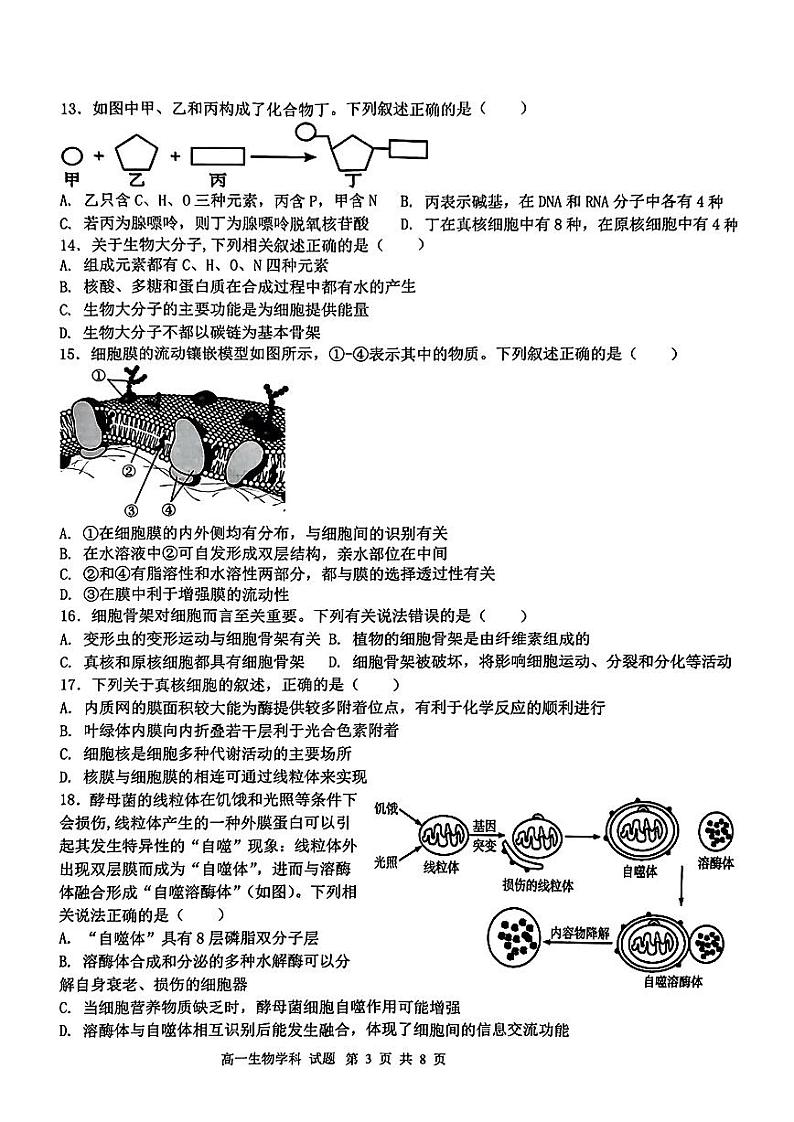 试卷2411高一金兰教育合作组织期中第3页