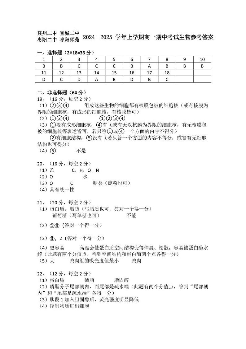 湖北2024-2025学年上学期高一期中四校联考生物参考答案.第1页