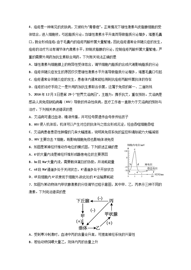 河南省信阳高级中学北湖校区2024-2025学年高二上学期10月测试生物试题02