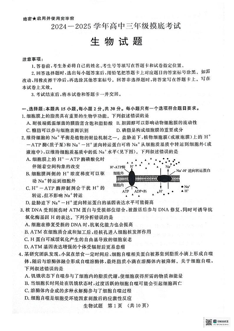 山东省济南市2024-2025学年高三上学期9月开学生物试题01