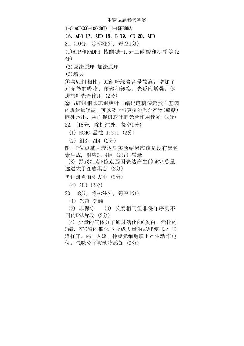 山东省济南市2024-2025学年高三上学期9月开学生物试题01