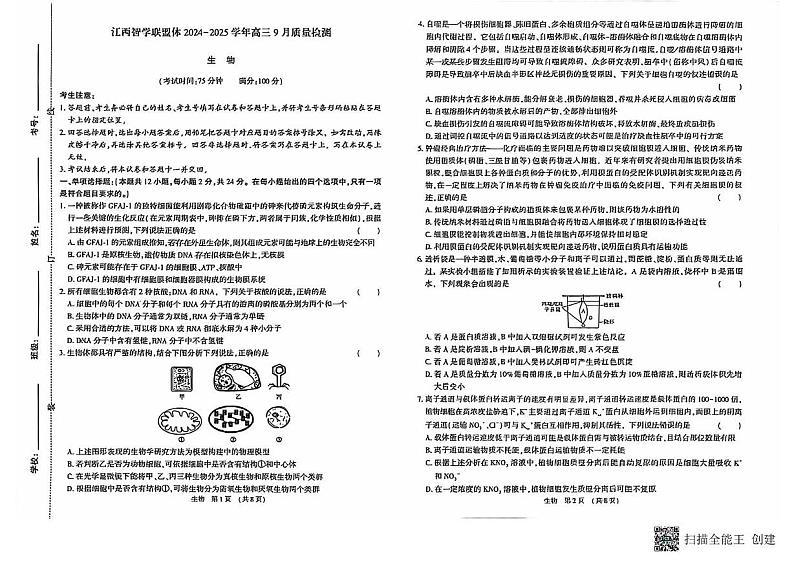 （生物试卷）江西智学联盟体2024-2025学年高三9月质量检测 生物试卷第1页