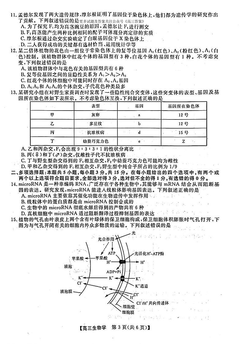 金科大联考·2025届高三上学期9月质量检测生物试题第3页