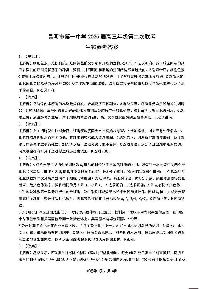云南省昆明市第一中学2024-2025学年高三上学期10月第二次联考生物试题01