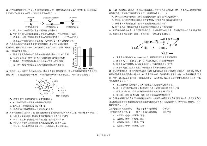 2025成都树德中学高二上学期期中生物试题PDF版含答案第2页