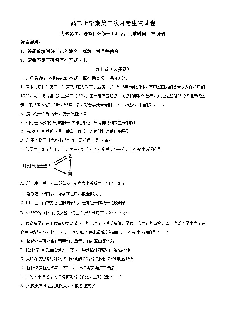 河北省沧州市泊头市第一中学2024-2025学年高二上学期10月月考生物试题无答案第1页