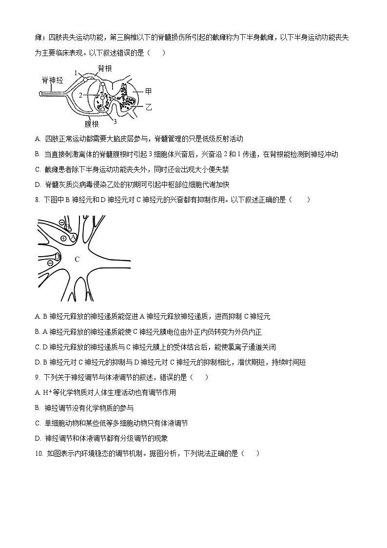 河北省沧州市泊头市第一中学2024-2025学年高二上学期10月月考生物试题无答案第3页