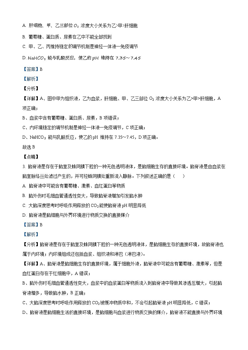 河北省沧州市泊头市第一中学2024-2025学年高二上学期10月月考生物试题含解析第2页