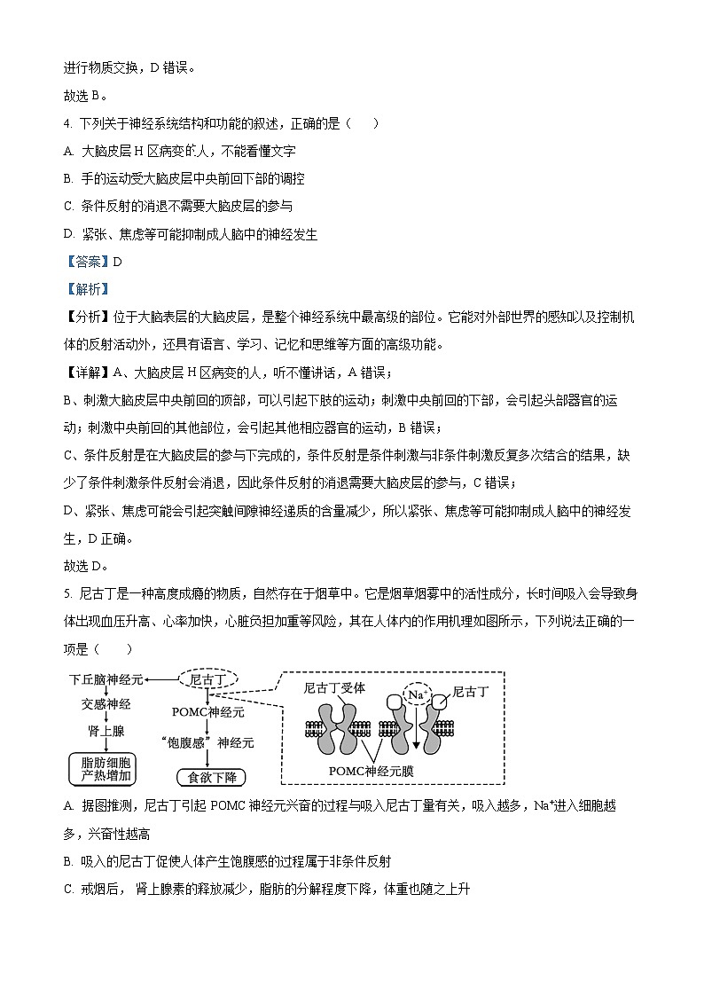 河北省沧州市泊头市第一中学2024-2025学年高二上学期10月月考生物试题含解析第3页