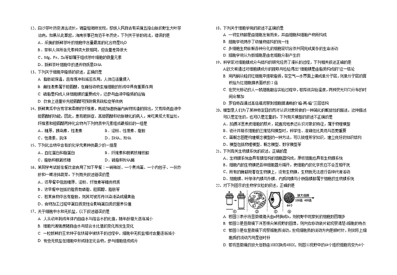 宁夏回族自治区银川一中2024-2025学年高一上学期期中考试生物试卷02