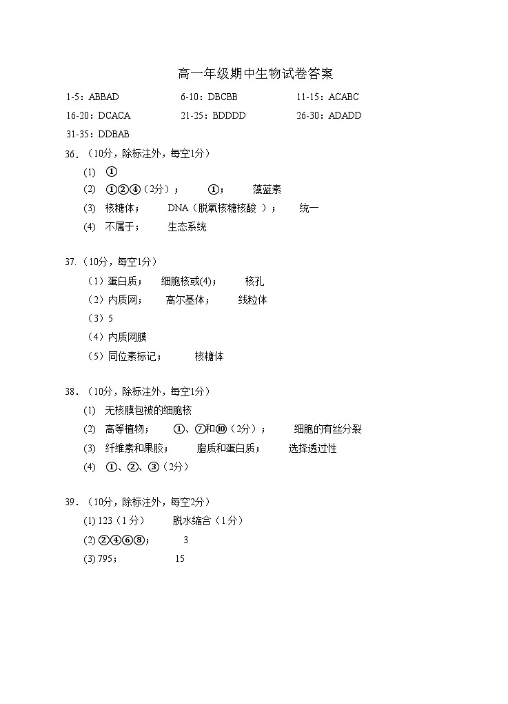 宁夏回族自治区银川一中2024-2025学年高一上学期期中考试生物试卷01