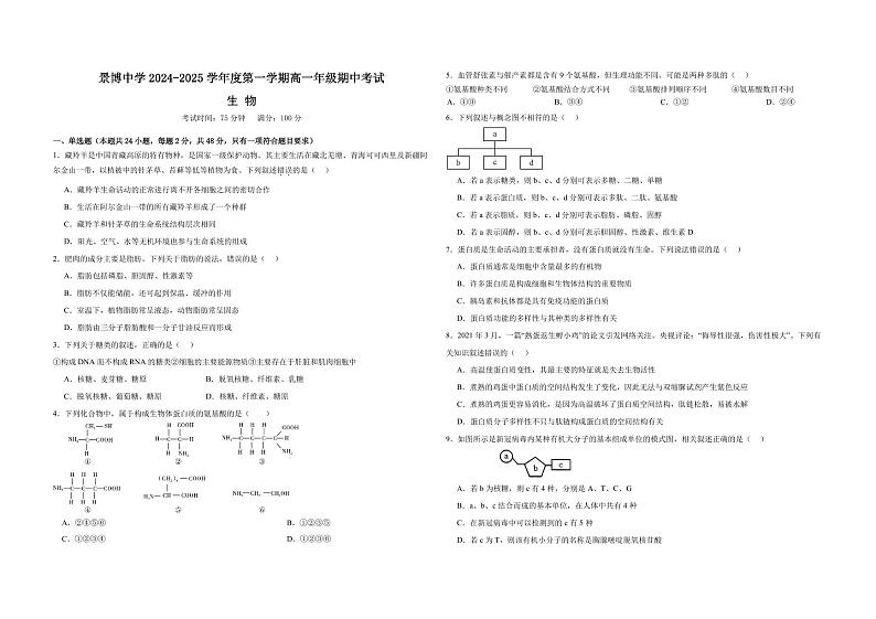 宁夏回族自治区银川市贺兰县2024-2025学年高一上学期期中生物试题01