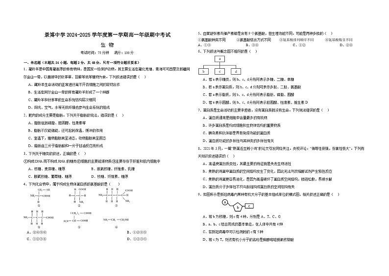 宁夏回族自治区银川市贺兰县2024-2025学年高一上学期期中生物试题01