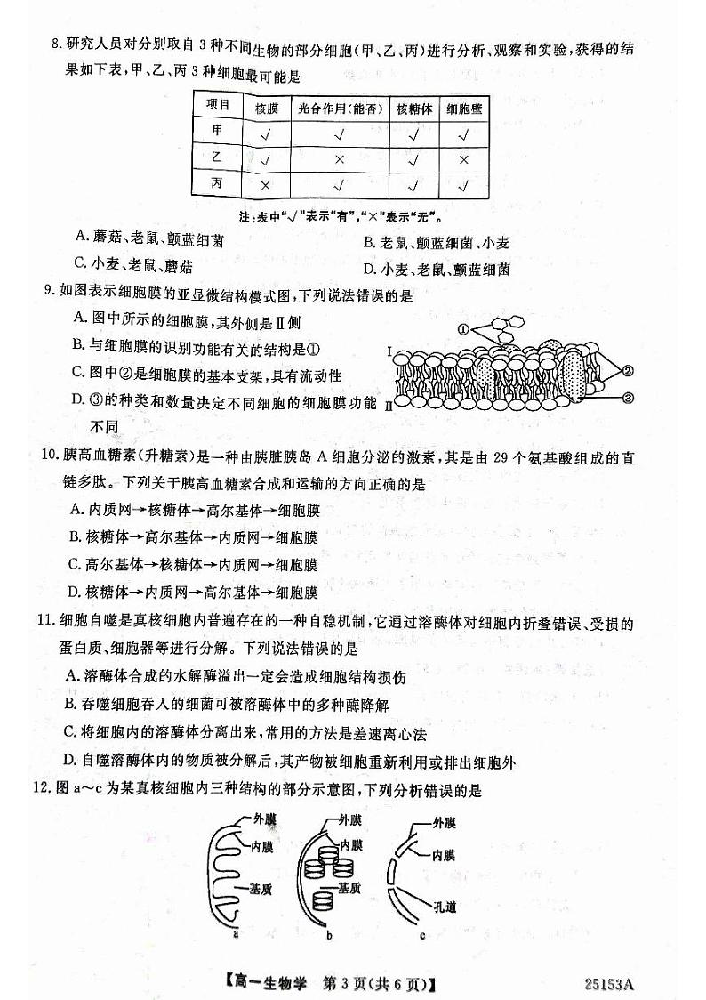 高一生物学第3页