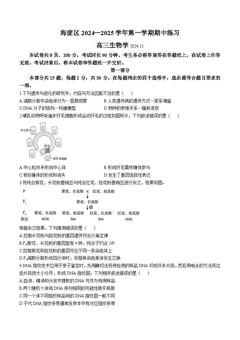 北京海淀区2024-2025学年高三上学期期中生物试卷(无答案)第1页
