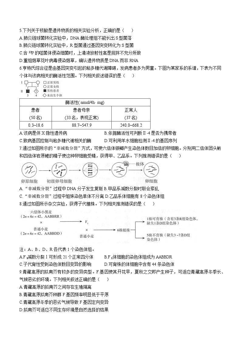 北京海淀区2024-2025学年高三上学期期中生物试卷(无答案)第2页