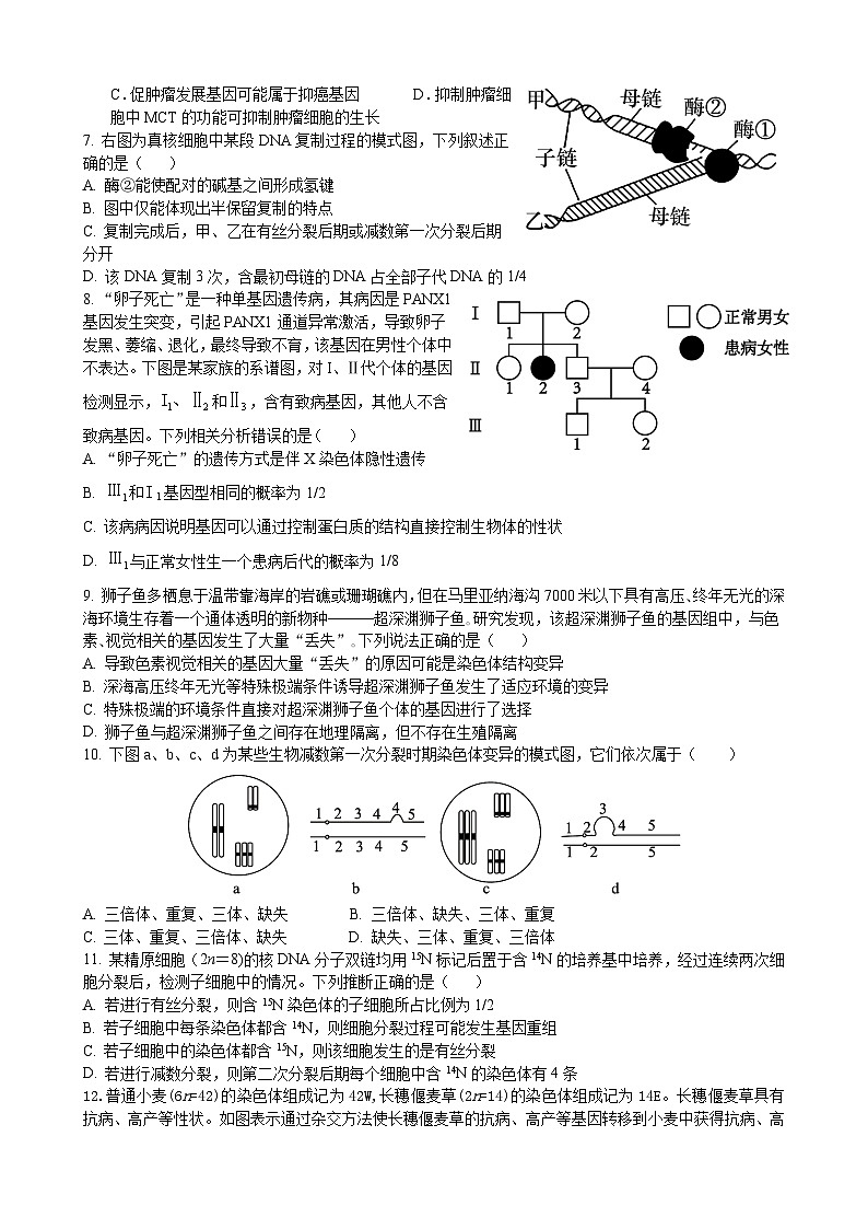 24-25上高二生物（高考班）期中试卷第2页