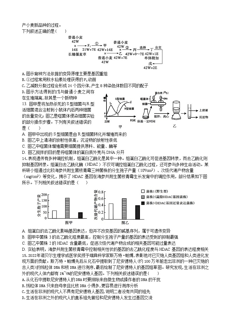24-25上高二生物（高考班）期中试卷第3页