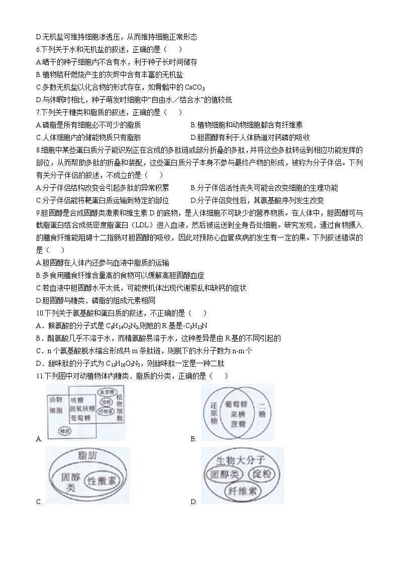 黑龙江省哈尔滨市第九中学校2024-2025学年高一上学期期中考试生物试题(无答案)第2页