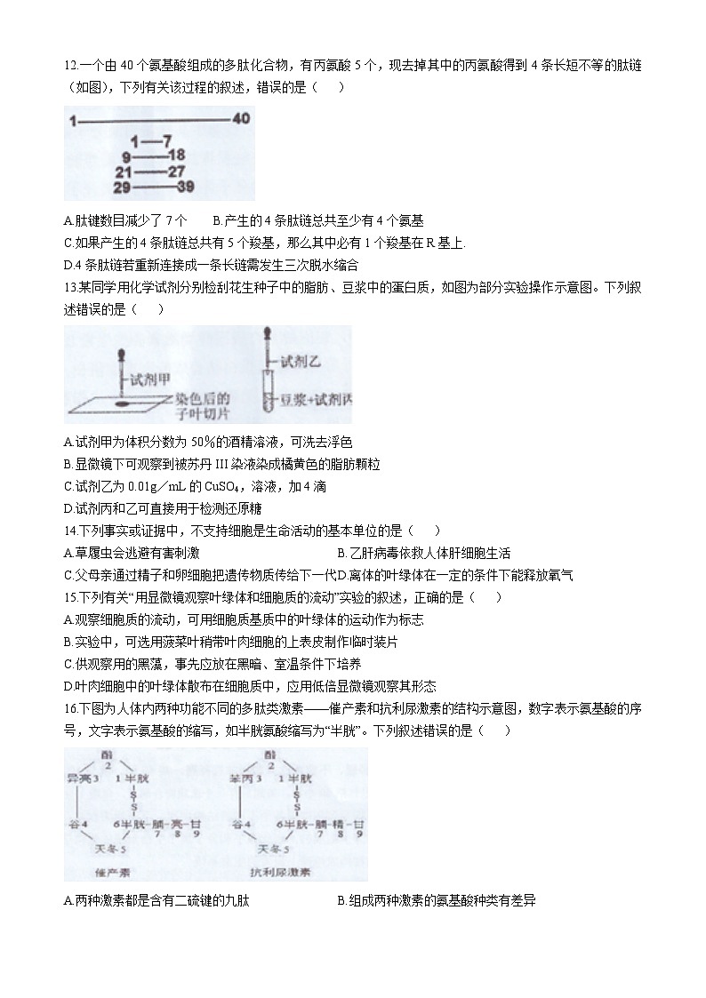 黑龙江省哈尔滨市第九中学校2024-2025学年高一上学期期中考试生物试题(无答案)第3页