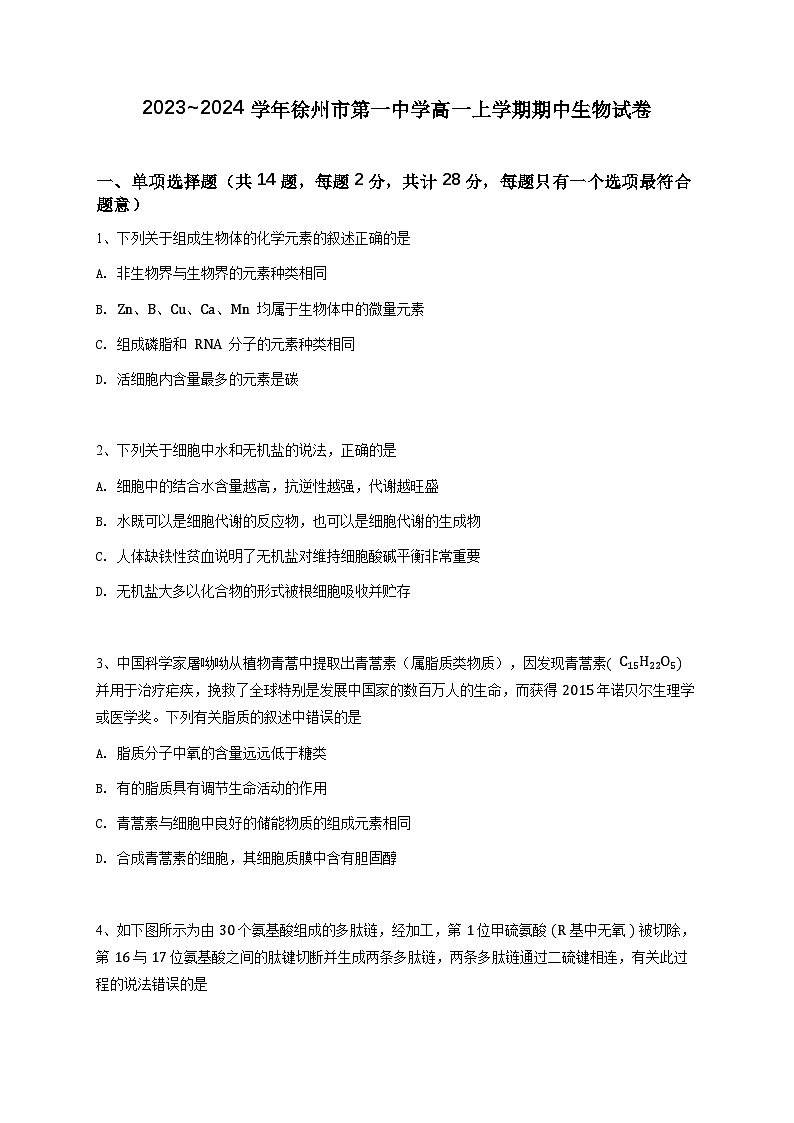 江苏省徐州市第一中学2023~2024学年高一上学期期中考试生物试卷（原卷版）第1页
