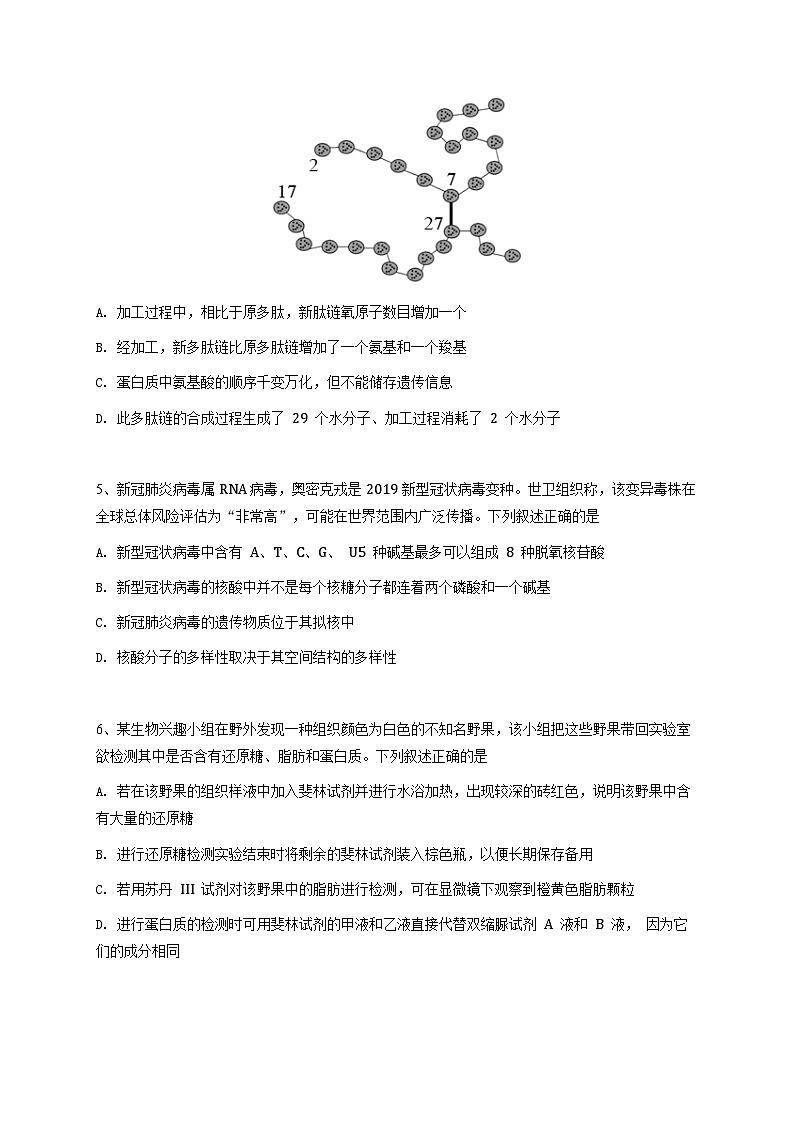 江苏省徐州市第一中学2023~2024学年高一上学期期中考试生物试卷（原卷版）第2页