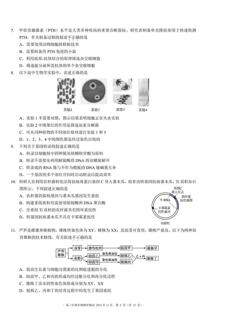 2024-2025-二中-高三期中-生物（试题） 最终第2页