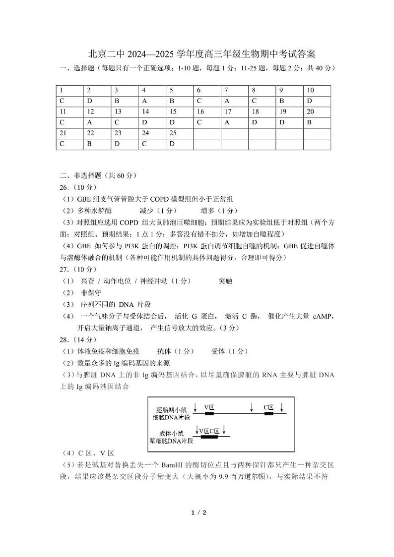 2024-2025-二中-高三期中-生物（答案） 最终第1页