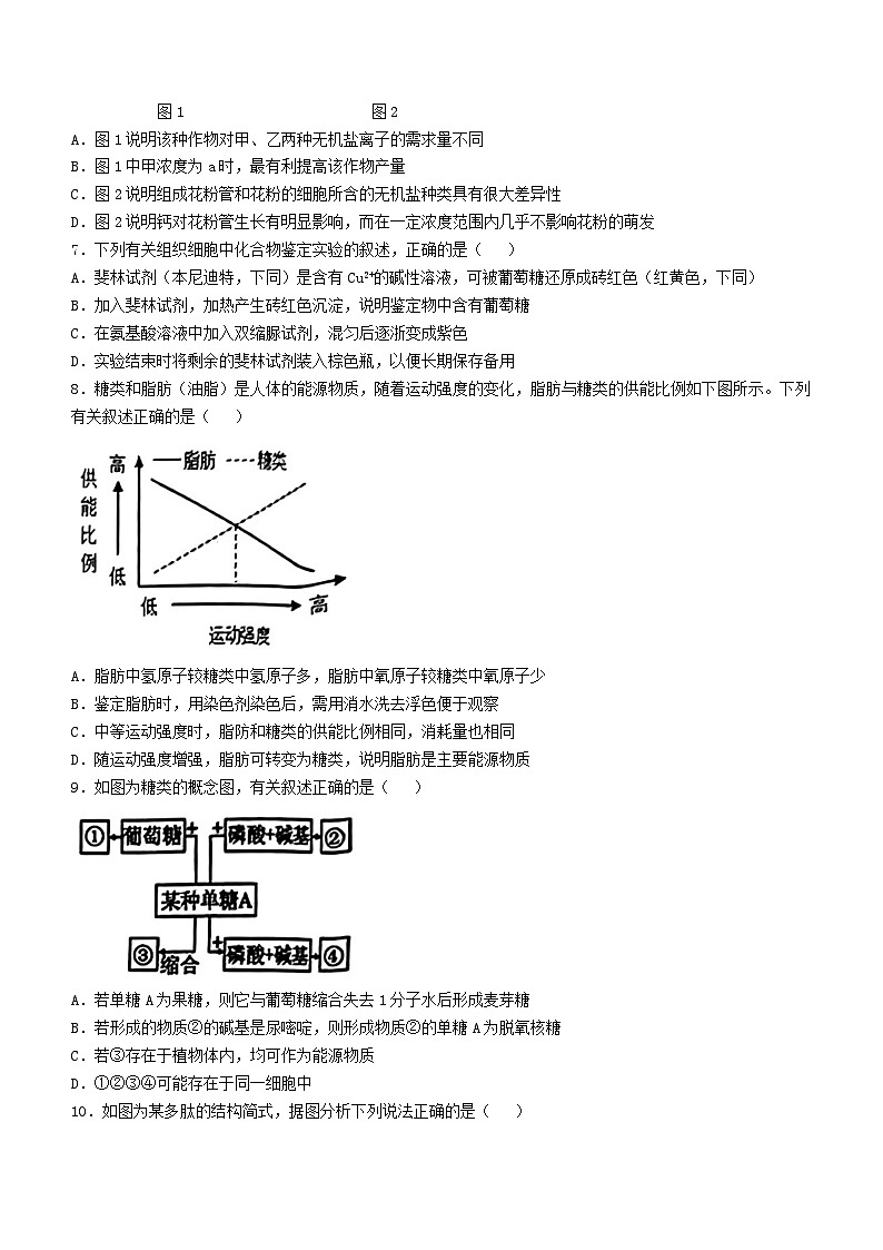 浙江省金兰教育合作组织2024-2025学年高一上学期期中考试生物试卷第2页