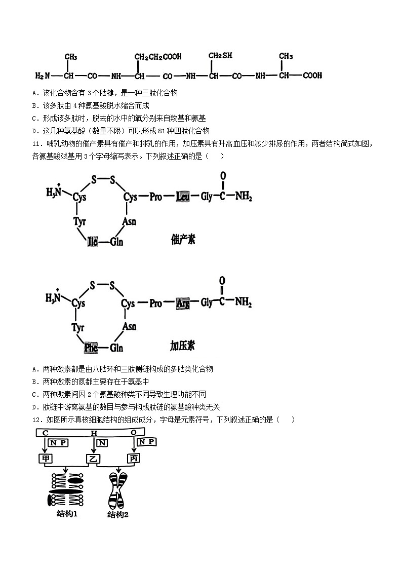浙江省金兰教育合作组织2024-2025学年高一上学期期中考试生物试卷第3页