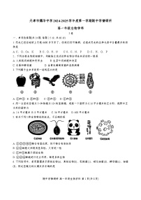 天津市耀华中学2024-2025学年高一上学期11月期中生物试题