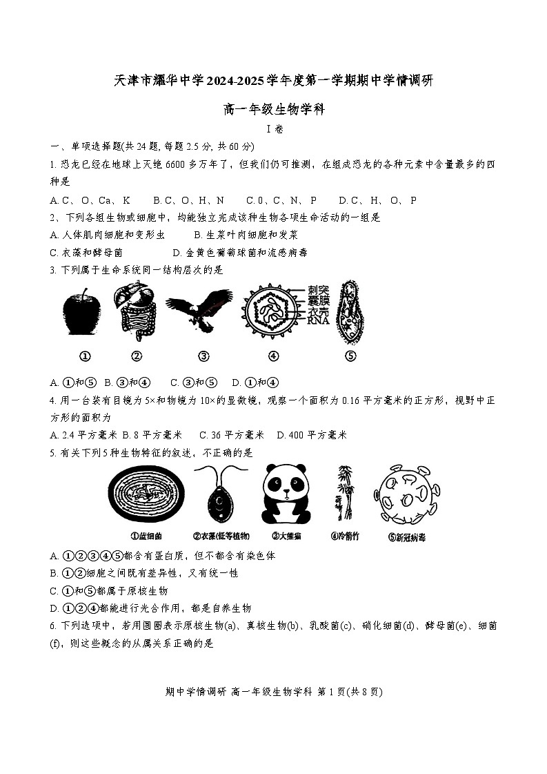 天津市耀华中学2024-2025学年高一上学期11月期中生物试题01