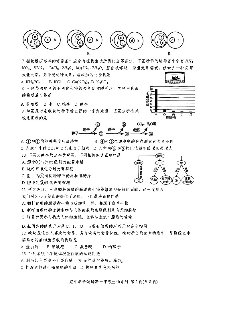 天津市耀华中学2024-2025学年高一上学期11月期中生物试题02
