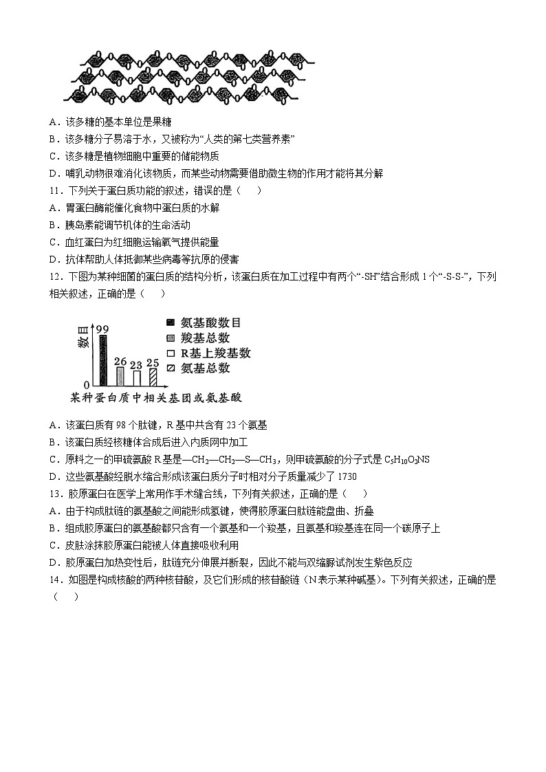 贵州省部分学校联考2024-2025学年高一上学期11月期中生物试题03