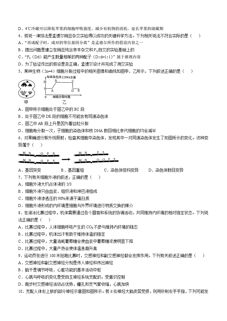 贵州省遵义市2024-2025学年高二上学期11月期中考试生物试题第2页