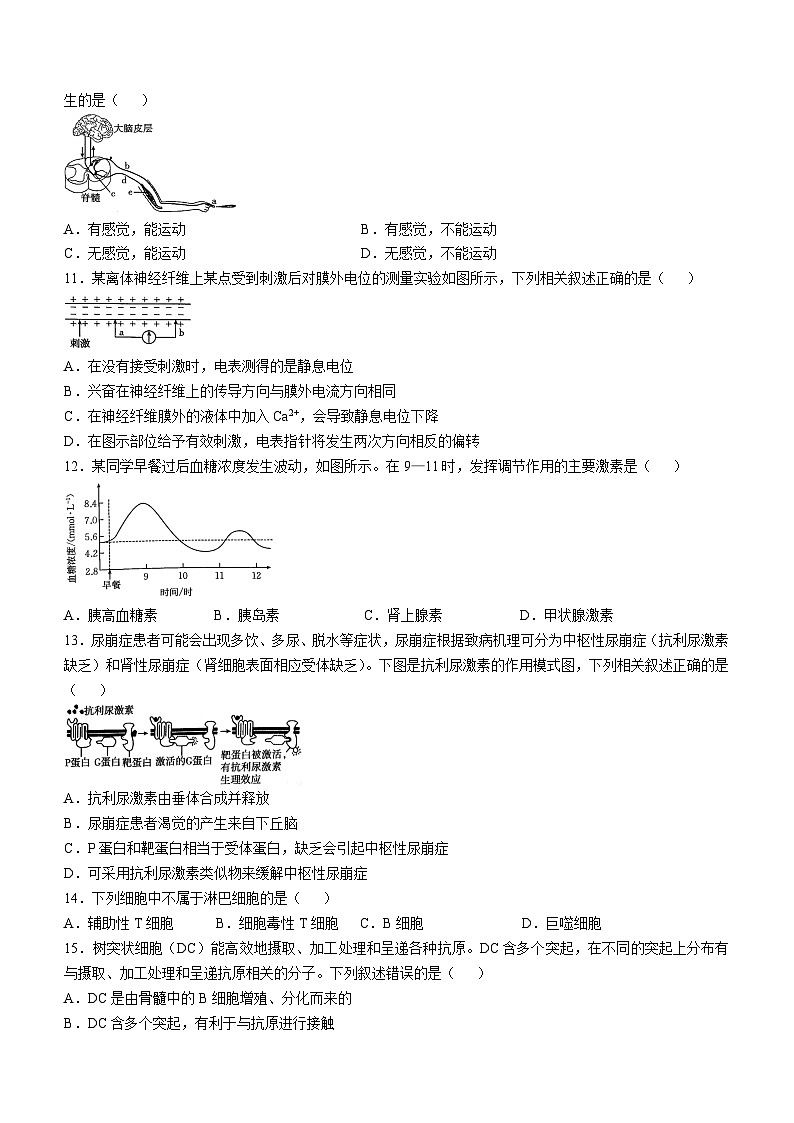 贵州省遵义市2024-2025学年高二上学期11月期中考试生物试题第3页