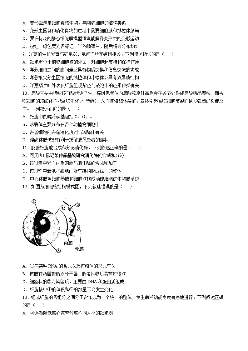 河南省部分学校2024-2025学年高一上学期10月期中检测生物试题第3页