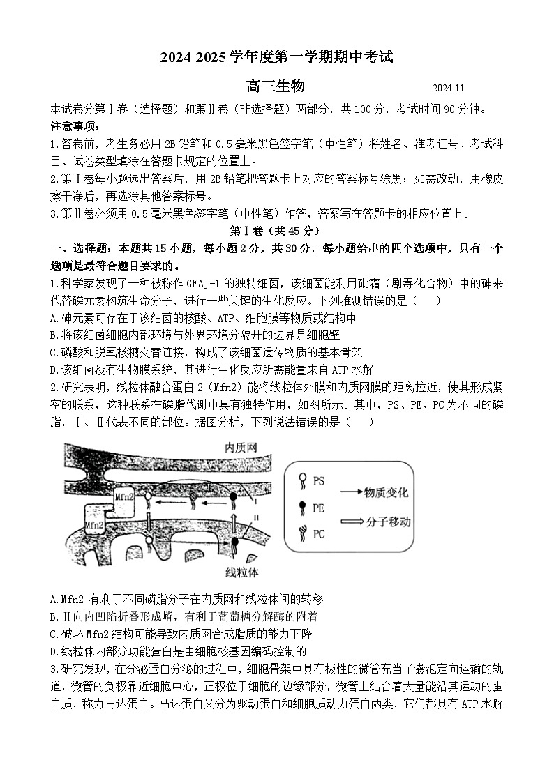 山东省青岛市2024-2025学年高三上学期11月期中生物试题第1页