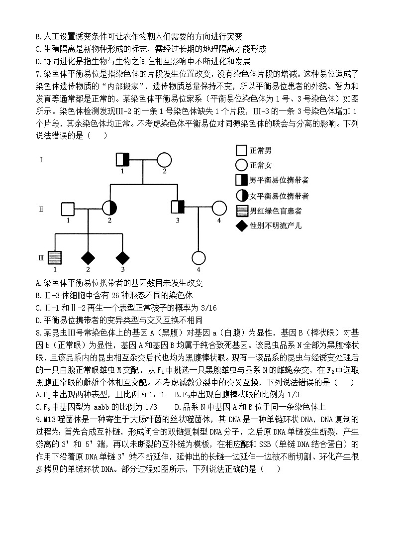 山东省青岛市2024-2025学年高三上学期11月期中生物试题第3页