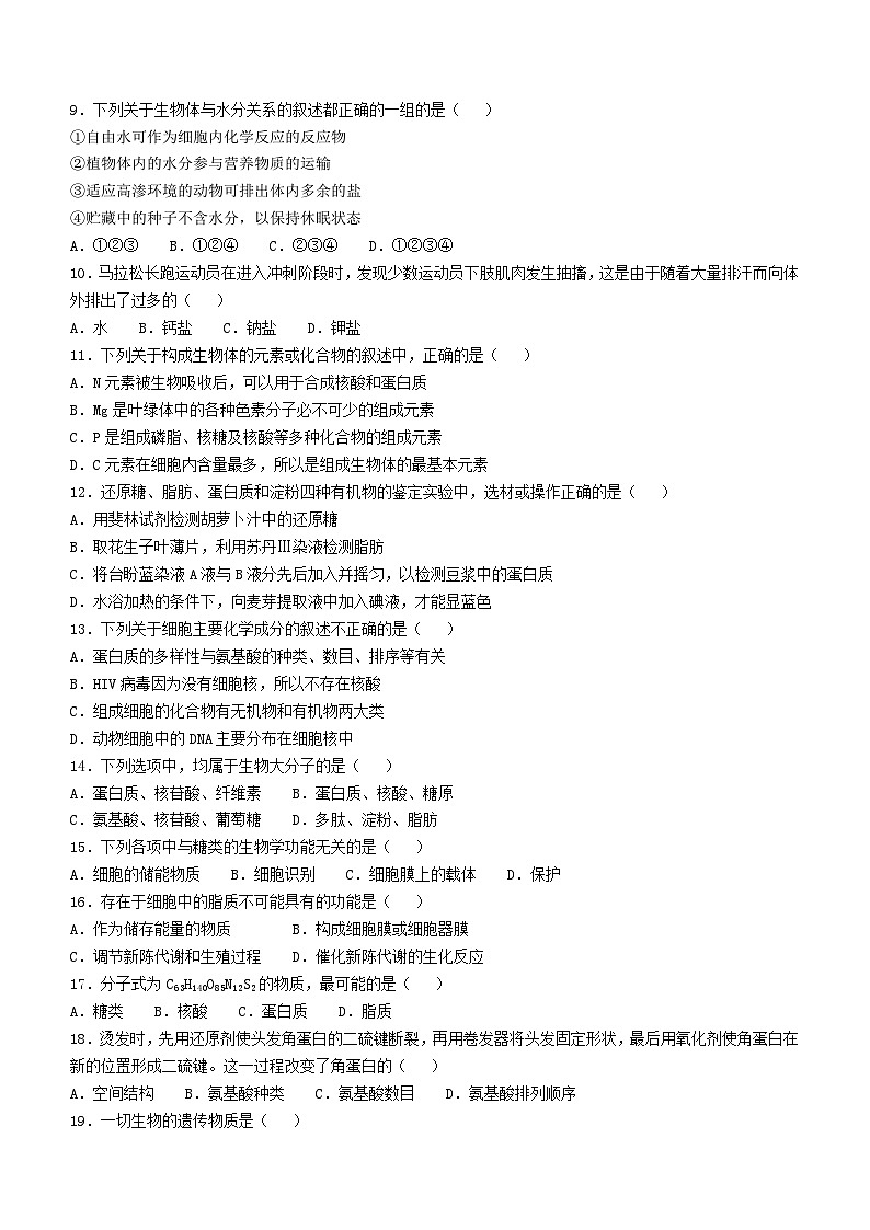 北京市八一学校2024-2025学年高一上学期期中考试生物试卷(无答案)第2页