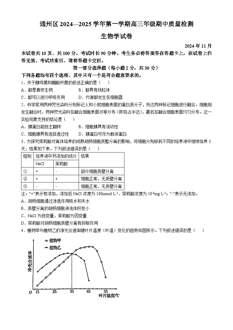 北京市通州区2024-2025学年高三上学期11月期中质量检测生物试题(无答案)01